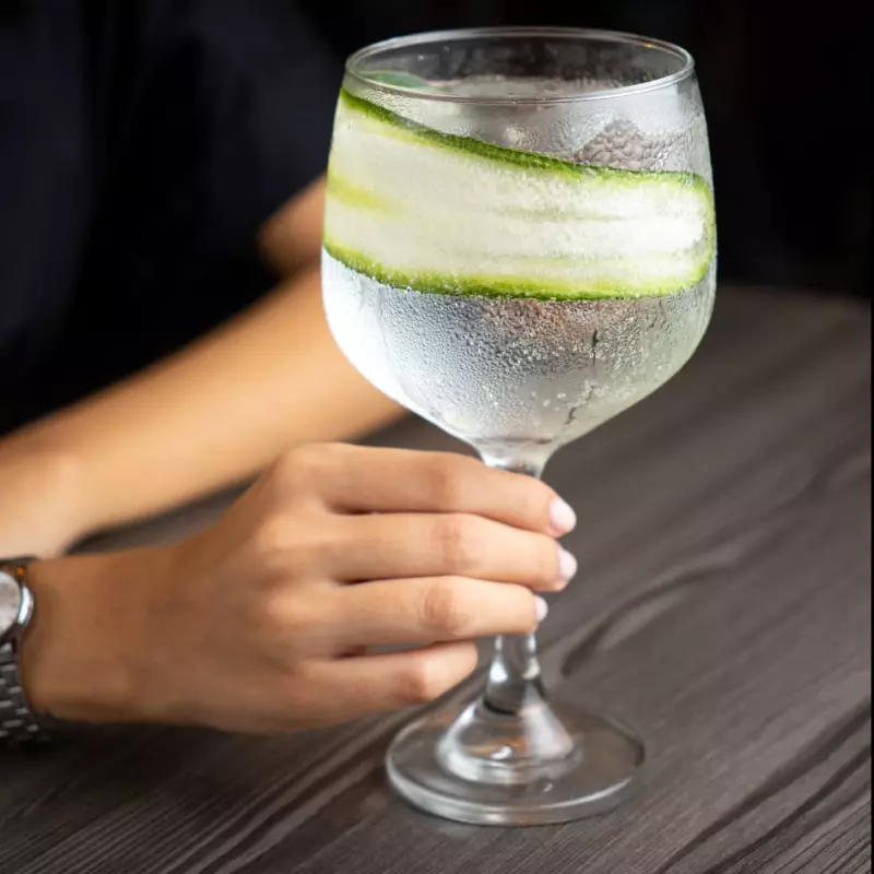 X2 GIN TONICS