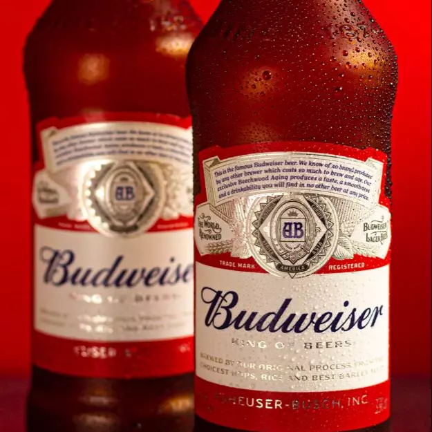 BUDWEISER (600ml)