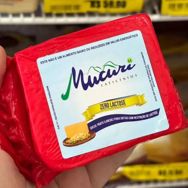 QUEIJO LANCHE ZERO LACTOSE.MUCURI