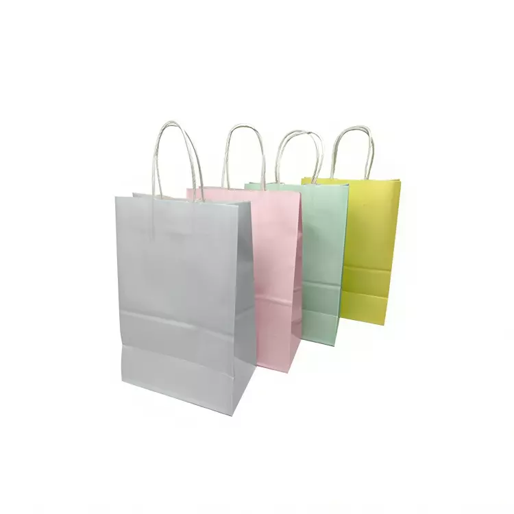 E42  BOLSAS DE REGALO- 33X26X12CM