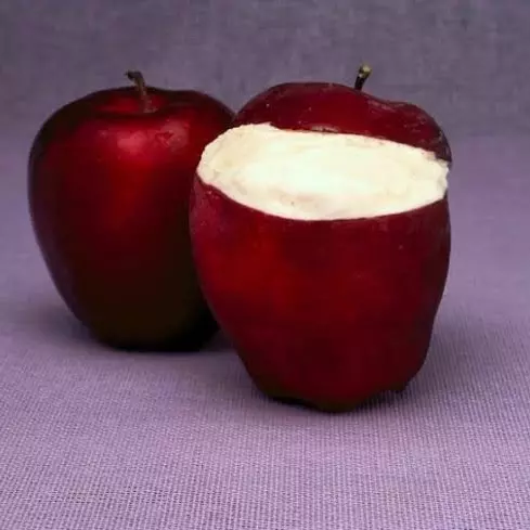 🍏 Nieve de Cáscara de Manzana