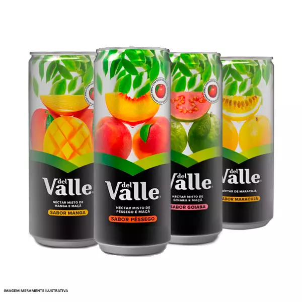 Suco lata Del Valle