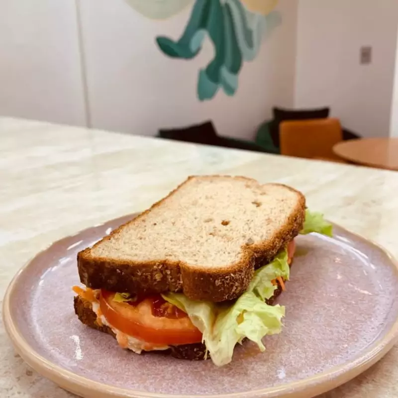 SANDUICHE NATURAL FRANGO