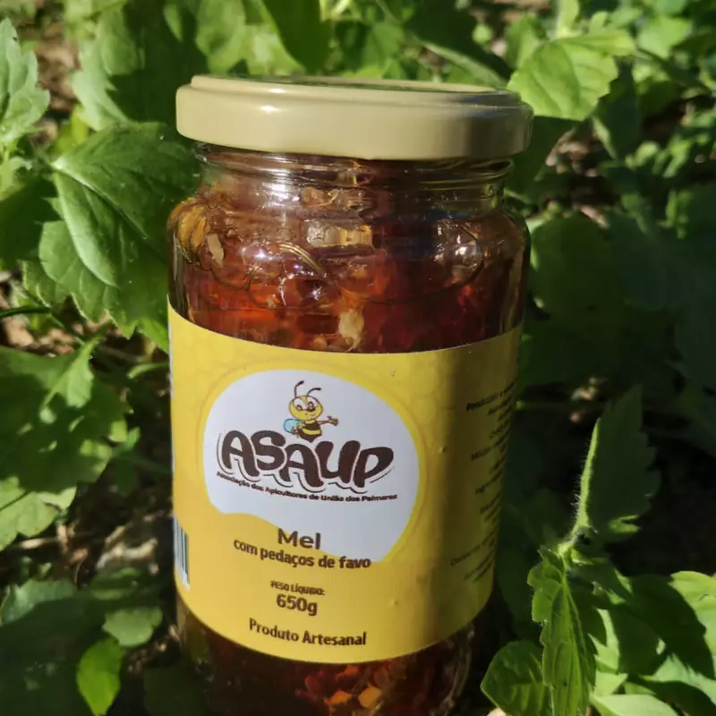 Mel com pedaços de favo (650g)