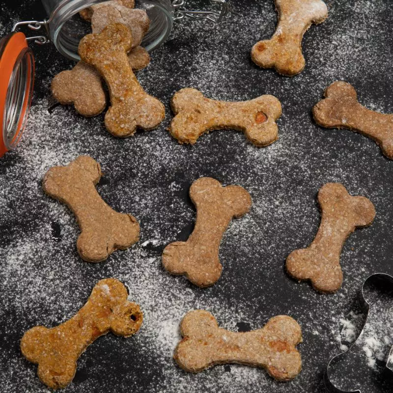 Galletas para Perros
