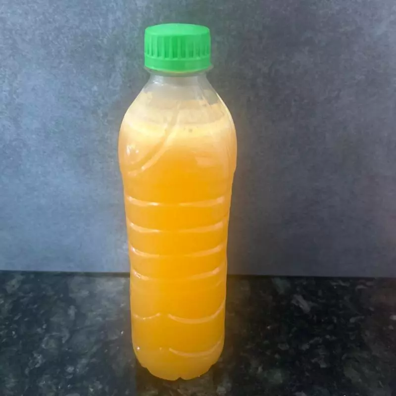 Suco de Tangerina 500ml