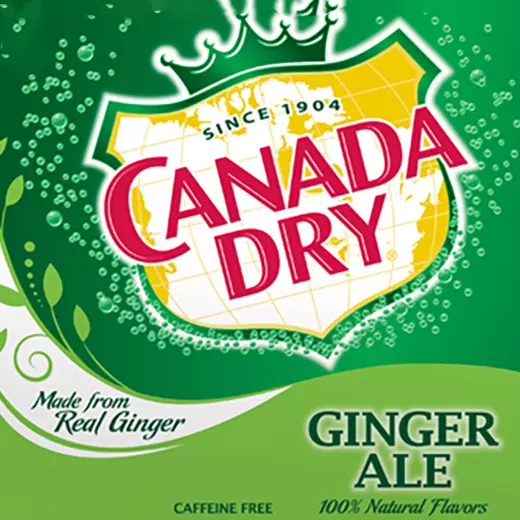 Ginger Ale 600 ml