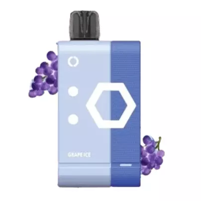 Elf bar Ew9000 Grape Ice