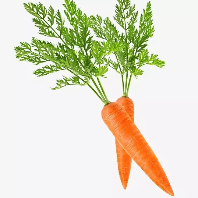 Zanahoria seleccionada x 1 uni