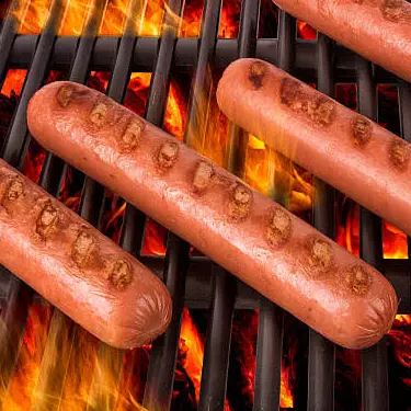 Hotdog
