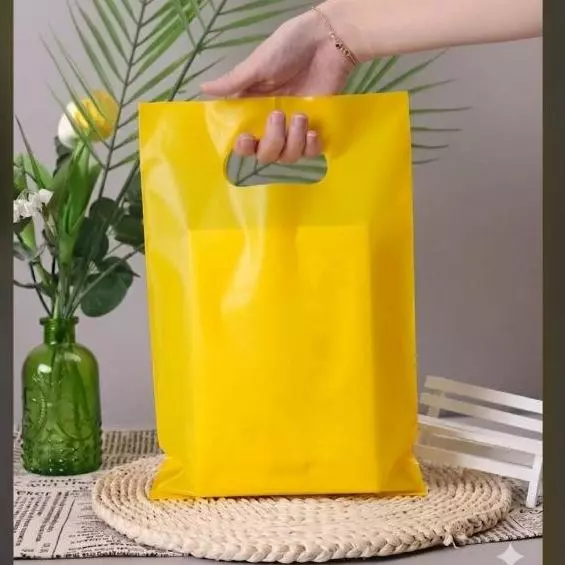 BOLSAS BOUTIQUE (AMARILLO)