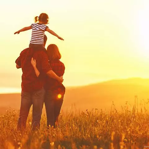 Combo Família 3 de 700 ML