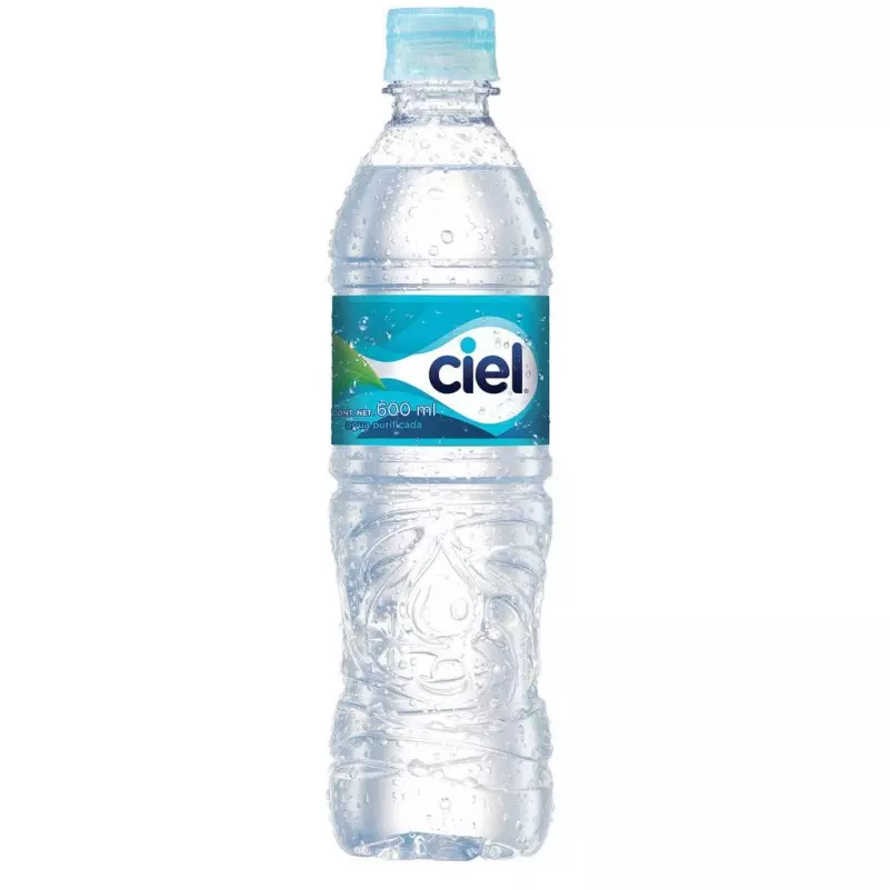 AGUA NATURAL 600ML