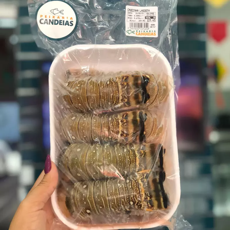 Caudinha de Lagosta
