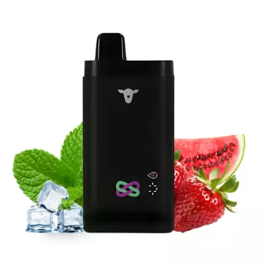 30K strawberry watermelon fresh mint