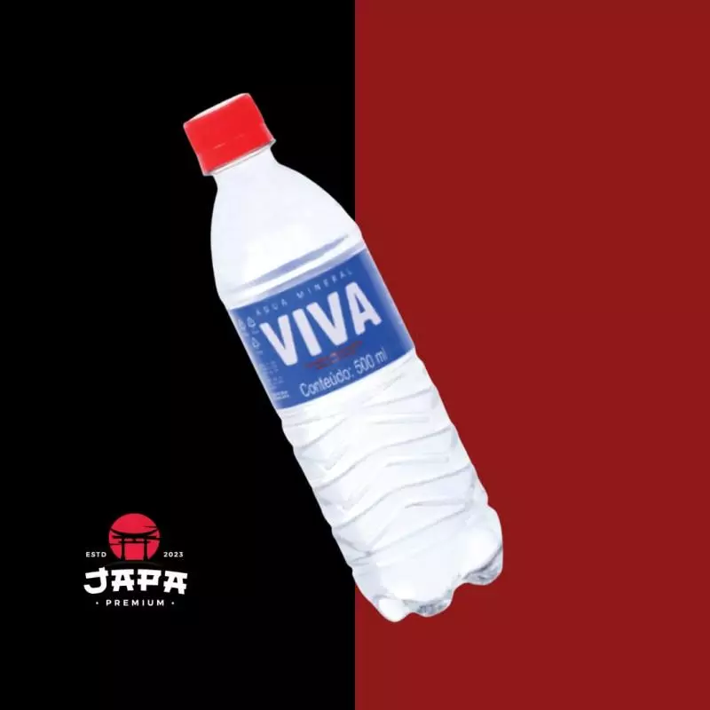 ÁGUA MINERAL C/ GÁS 500ML