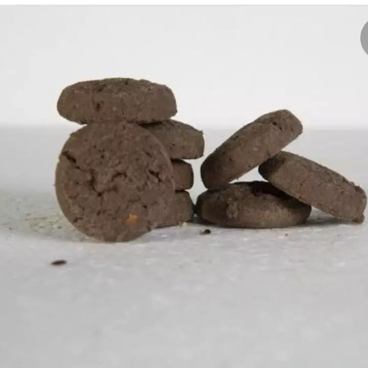 Bisc Seu Divino s gluten e soja Caca