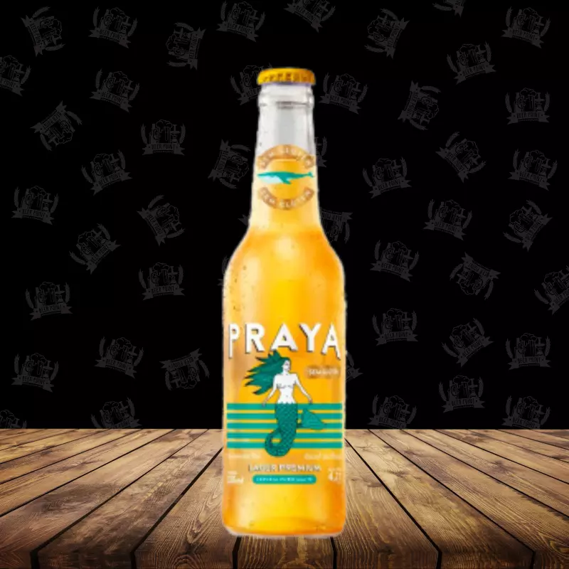 Praya Sem Glúten 330ml Long