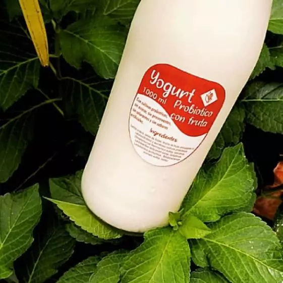 Yogurt probiótico litro