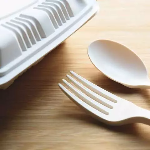 Desechable