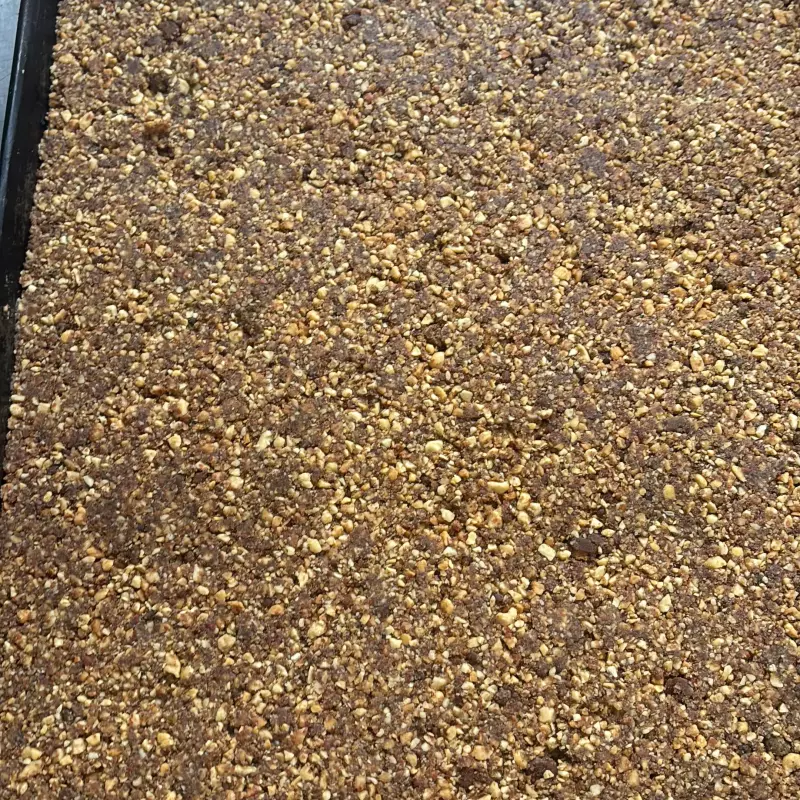 RAPADURINHA DE AMENDOIM SEM LACTOSE