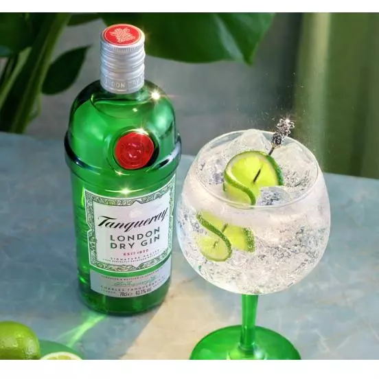 TANQUERAY LONDON DRY E TONICA