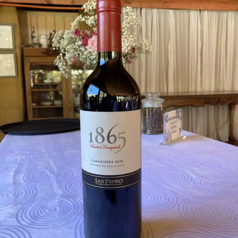 1865 San Pedro