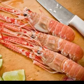 Lagostim - Inteiro (Pitu)