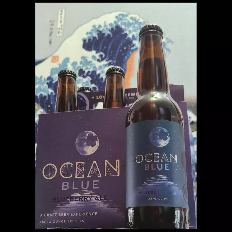 Ocean Lab Blueberry Ale