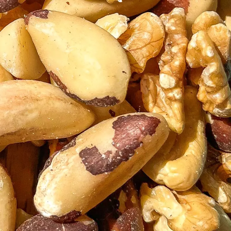 MIX DE CASTANHA C/ MACADÂMIA S/SAL