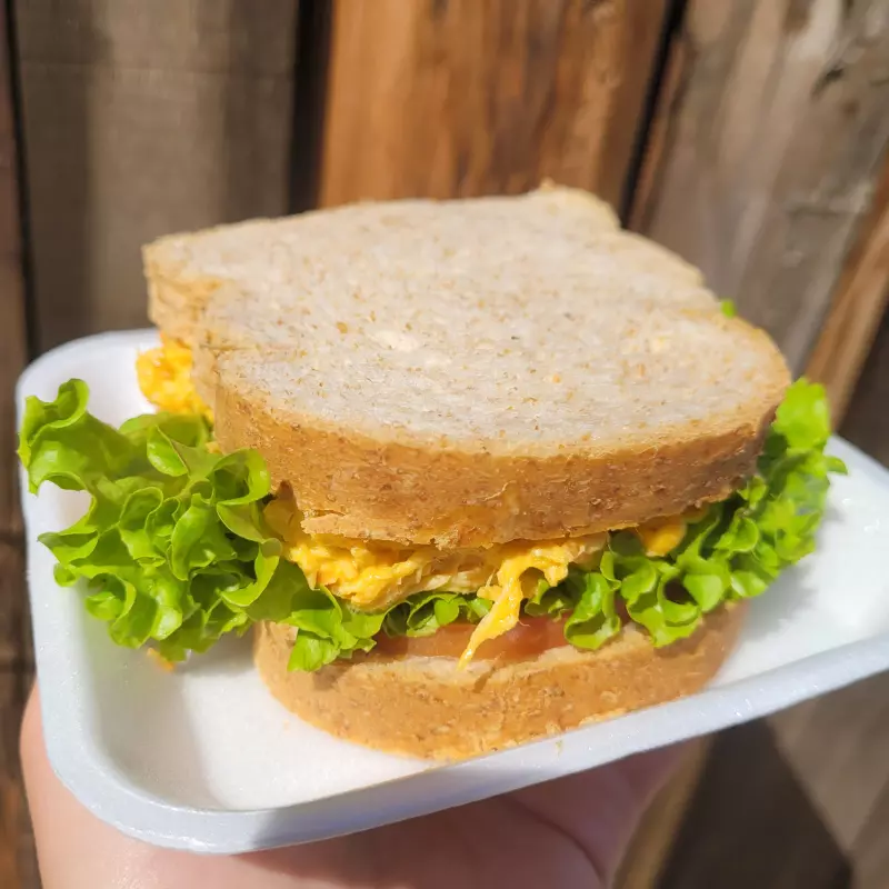 Sanduíche fit natural