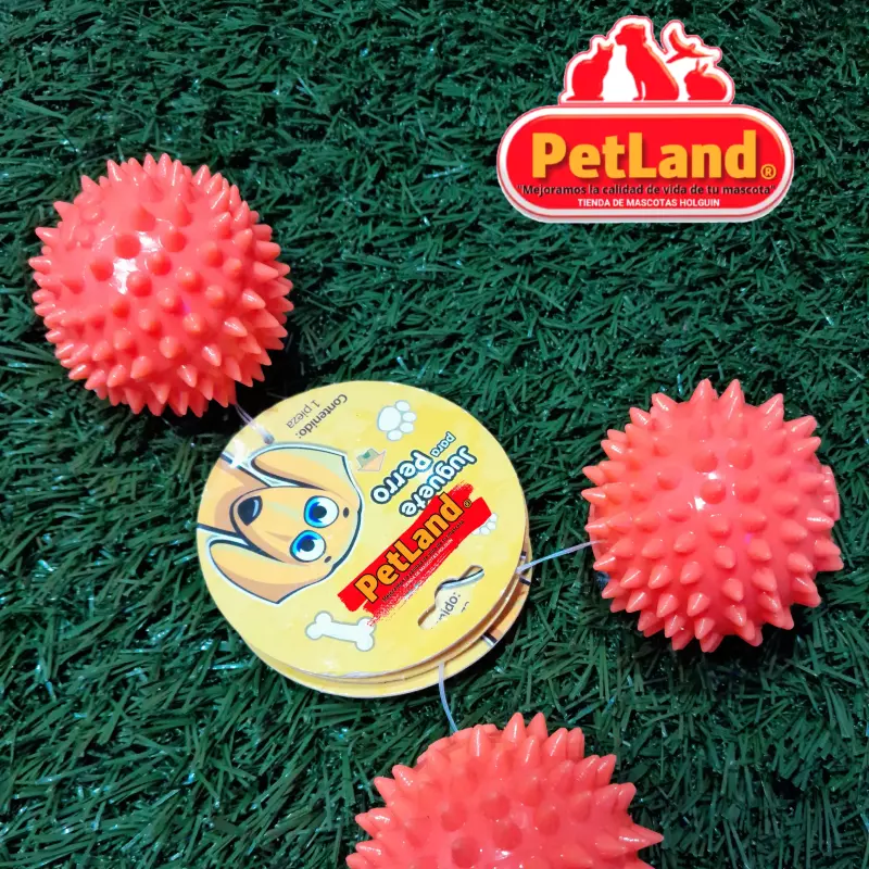 Pelota pequeña Naranja
