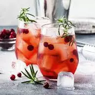 Gin Frutos Rojos 1L