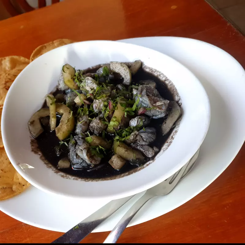 AGUACHILE NEGRO DE CAMARON CON PULPO