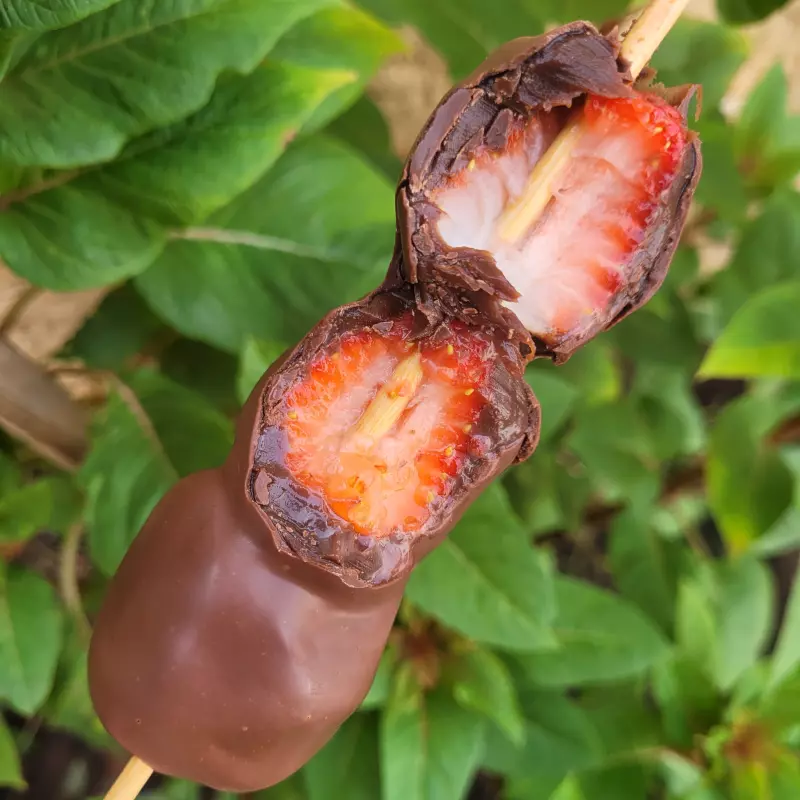 Surpresinha de chocolate