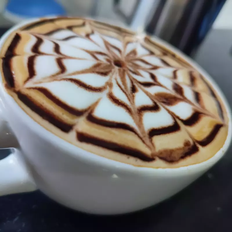 MOCACCINO