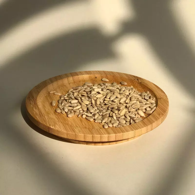 SEMILLA DE GIRASOL 100 G.