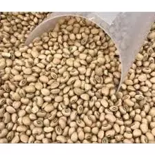 Feijão de Corda - 1Kg