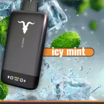 v155 ultra slim icy mint