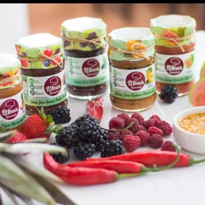 GELÉIA ZERO AÇUCAR MINAS GOURMET