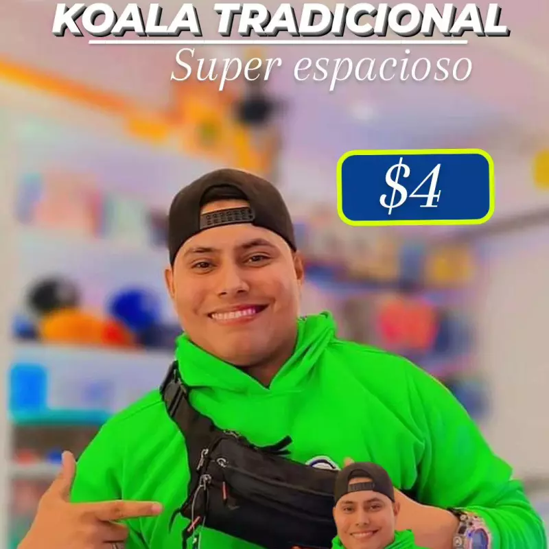 Koala Tradicional