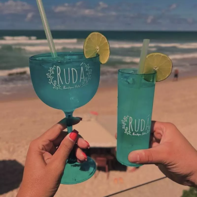 Copo Long Drink ou Taça Gin Rudá