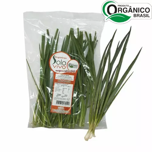 Cebolinha Orgânica 80g