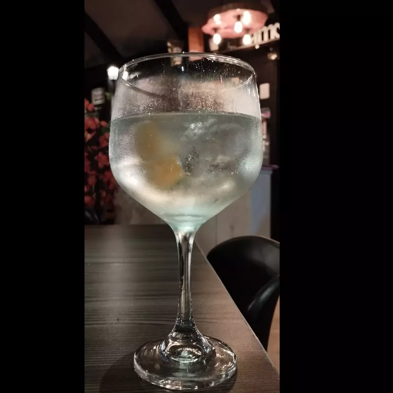 Gin Tonic