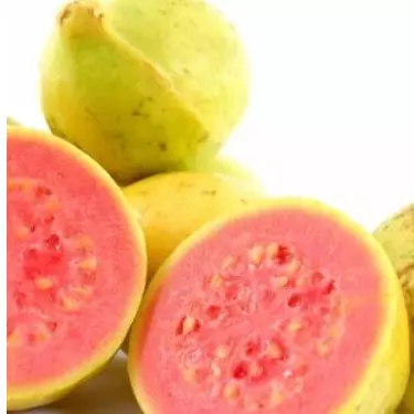 Goiaba em pedaços congelada 1kg