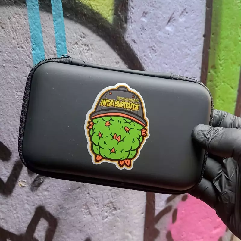 Case de Courino Auto Sustento