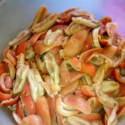 TOSTADA DE CUCARACHA DE MAR