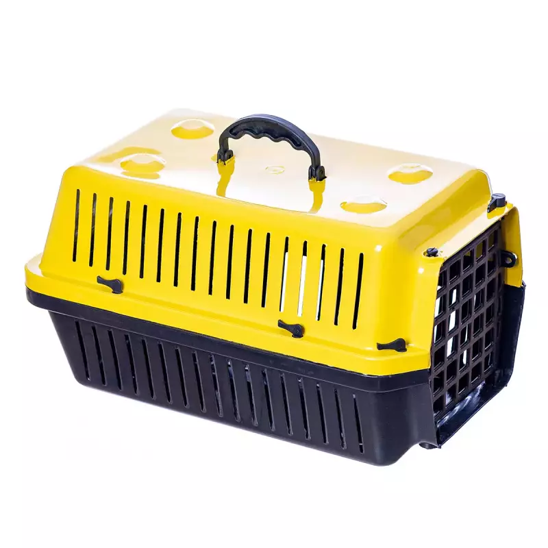 CAIXA DE TRANSPORTE  1 (1250)