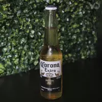 Corona Long Neck 330ml 🍺