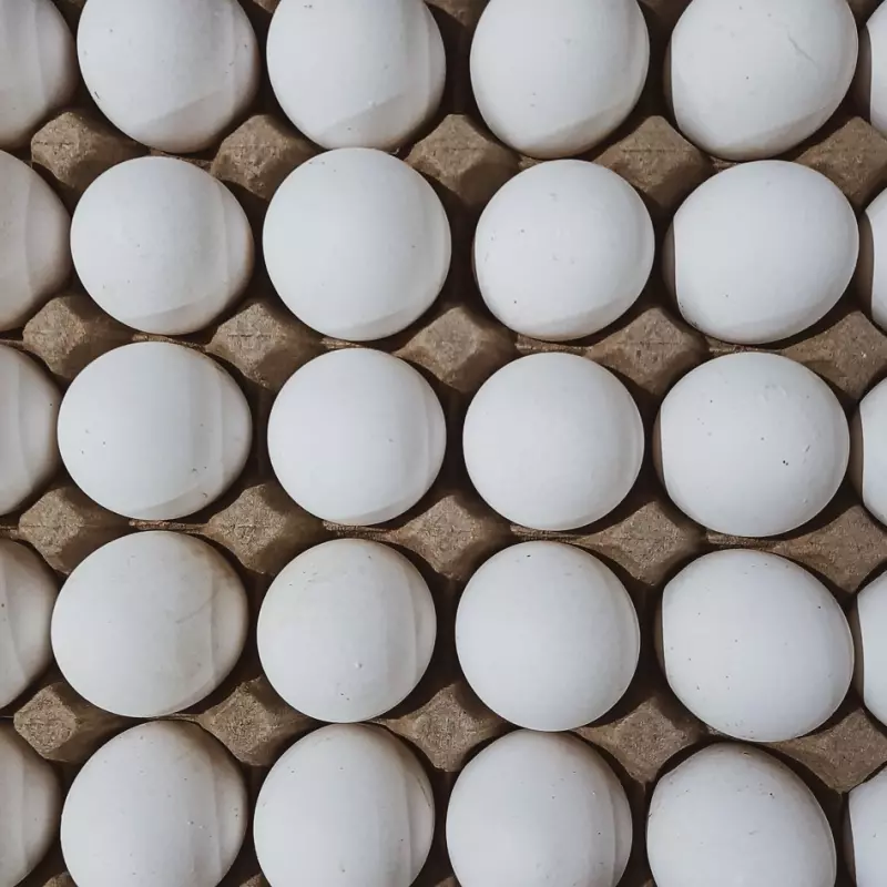 Maple de Huevos x 30